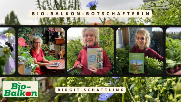 Birgit Schattling
